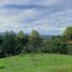  Grundstück zu verkaufen in La Ceja, Antioquia, La Ceja