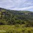  Land for sale in Guaduas, Cundinamarca, Guaduas