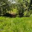  Land for sale in Guaduas, Cundinamarca, Guaduas