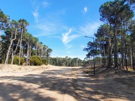  Land for sale in Pinamar, Buenos Aires, Pinamar