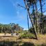  Land for sale in Pinamar, Buenos Aires, Pinamar