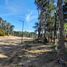  Land for sale in Pinamar, Buenos Aires, Pinamar