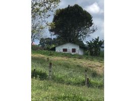  Land for sale in Timbio, Cauca, Timbio