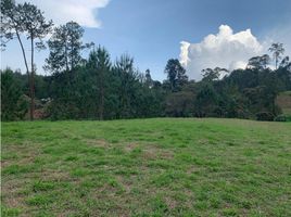 Grundstück zu verkaufen in Retiro, Antioquia, Retiro