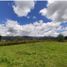  Land for sale in Guarne, Antioquia, Guarne