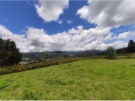  Terreno (Parcela) en venta en Guarne, Antioquia, Guarne