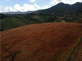  Terreno (Parcela) en venta en El Carmen De Viboral, Antioquia, El Carmen De Viboral