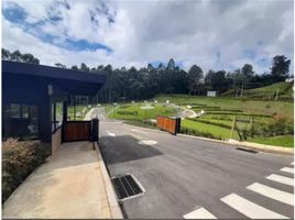  Grundstück zu verkaufen in Rionegro, Antioquia, Rionegro, Antioquia, Kolumbien