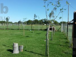  Land for sale in Zarate, Buenos Aires, Zarate