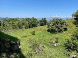  Land for sale in Manizales, Caldas, Manizales