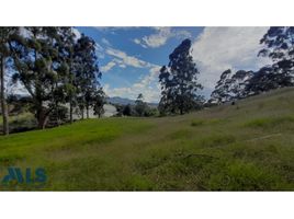  Terreno (Parcela) en venta en Marinilla, Antioquia, Marinilla