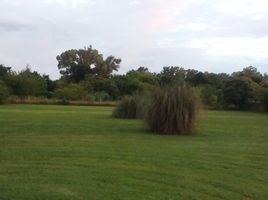  Land for sale in La Plata, Buenos Aires, La Plata