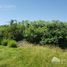  Land for sale in Colon, Cordoba, Colon