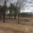  Land for sale in Colon, Cordoba, Colon