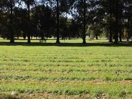  Land for sale in San Vicente, Buenos Aires, San Vicente