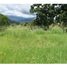  Land for sale in La Mesa, Cundinamarca, La Mesa