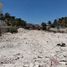  Land for rent in Chicxulub Pueblo, Yucatan, Chicxulub Pueblo