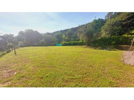  Land for sale in La Mesa, Cundinamarca, La Mesa