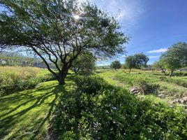  Grundstück zu verkaufen in Queretaro, Queretaro, Queretaro, Queretaro