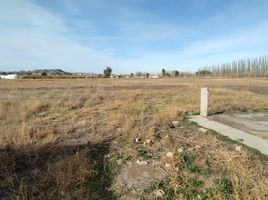  Terreno (Parcela) en venta en Rio Negro, General Roca, Rio Negro