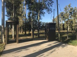  Grundstück zu verkaufen in La Plata, Buenos Aires, La Plata