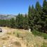  Land for sale in Neuquen, Lacar, Neuquen