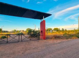  Land for sale in El Cuy, Rio Negro, El Cuy