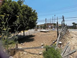  Grundstück zu verkaufen in Tijuana, Baja California, Tijuana