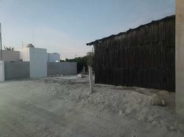  토지을(를) Chicxulub Pueblo, 유카탄에서 판매합니다., Chicxulub Pueblo