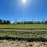  Terrain for sale in Lujan, Buenos Aires, Lujan