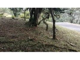  Terreno (Parcela) en venta en Sorá, Chame, Sorá