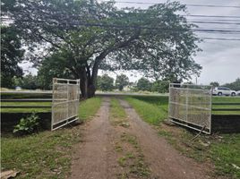 1 Schlafzimmer Villa zu verkaufen in Penonome, Cocle, Toabre