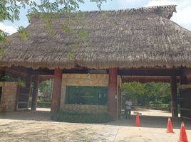 6 Habitación Casa en venta en Conkal, Yucatán, Conkal, Yucatán