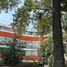 2 Bedroom Condo for sale in Miguel Hidalgo, Mexico City, Miguel Hidalgo, Mexico City, Mexico