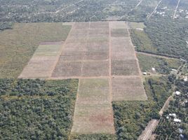  Land for sale in Mani, Yucatan, Mani