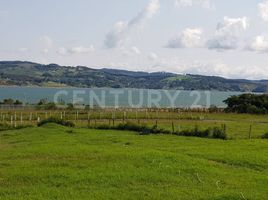 Estudio Casa en venta en Colombia, Yotoco, Valle Del Cauca, Colombia