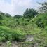  Land for sale in Tamuin, San Luis Potosi, Tamuin
