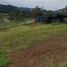  Land for sale in La Ceja, Antioquia, La Ceja