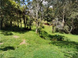  Grundstück zu verkaufen in Medellin, Antioquia, Medellin, Antioquia
