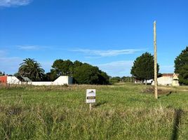  Land for sale in General Alvarado, Buenos Aires, General Alvarado