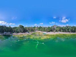  Land for sale in Cozumel, Quintana Roo, Cozumel, Quintana Roo
