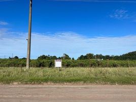  Terreno (Parcela) en venta en General Alvarado, Buenos Aires, General Alvarado