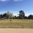  Land for sale in General Alvarado, Buenos Aires, General Alvarado