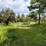  Land for sale in Patzcuaro, Michoacan, Patzcuaro