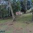  Land for sale in Retiro, Antioquia, Retiro