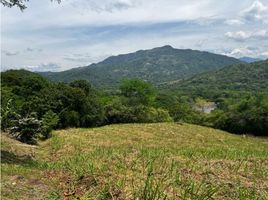  Land for sale in Villeta, Cundinamarca, Villeta