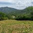  Land for sale in Villeta, Cundinamarca, Villeta