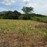  Land for sale in Villeta, Cundinamarca, Villeta