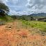  Land for sale in El Carmen De Viboral, Antioquia, El Carmen De Viboral