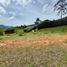  Land for sale in El Carmen De Viboral, Antioquia, El Carmen De Viboral